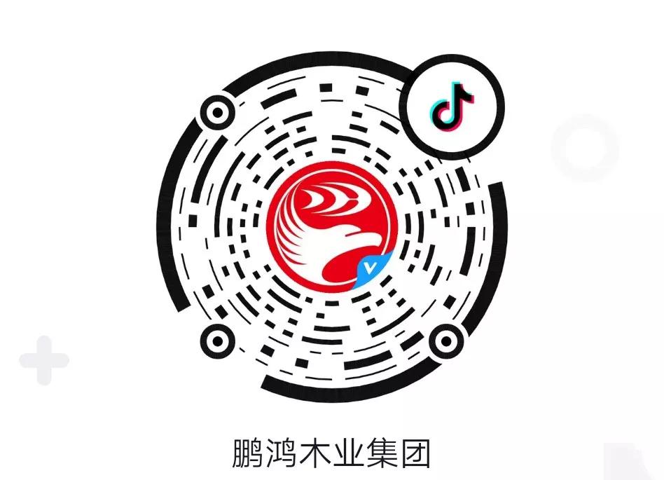 这厢有礼丨这个春节我最鸿，抖音相伴幸福年